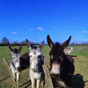 Loiret, suite ☀️